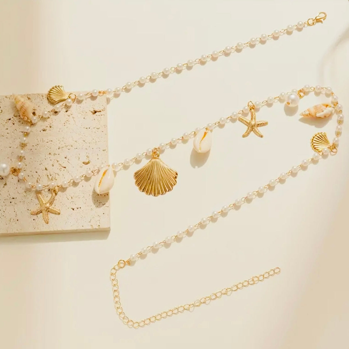 Chaine de ventre coquillage