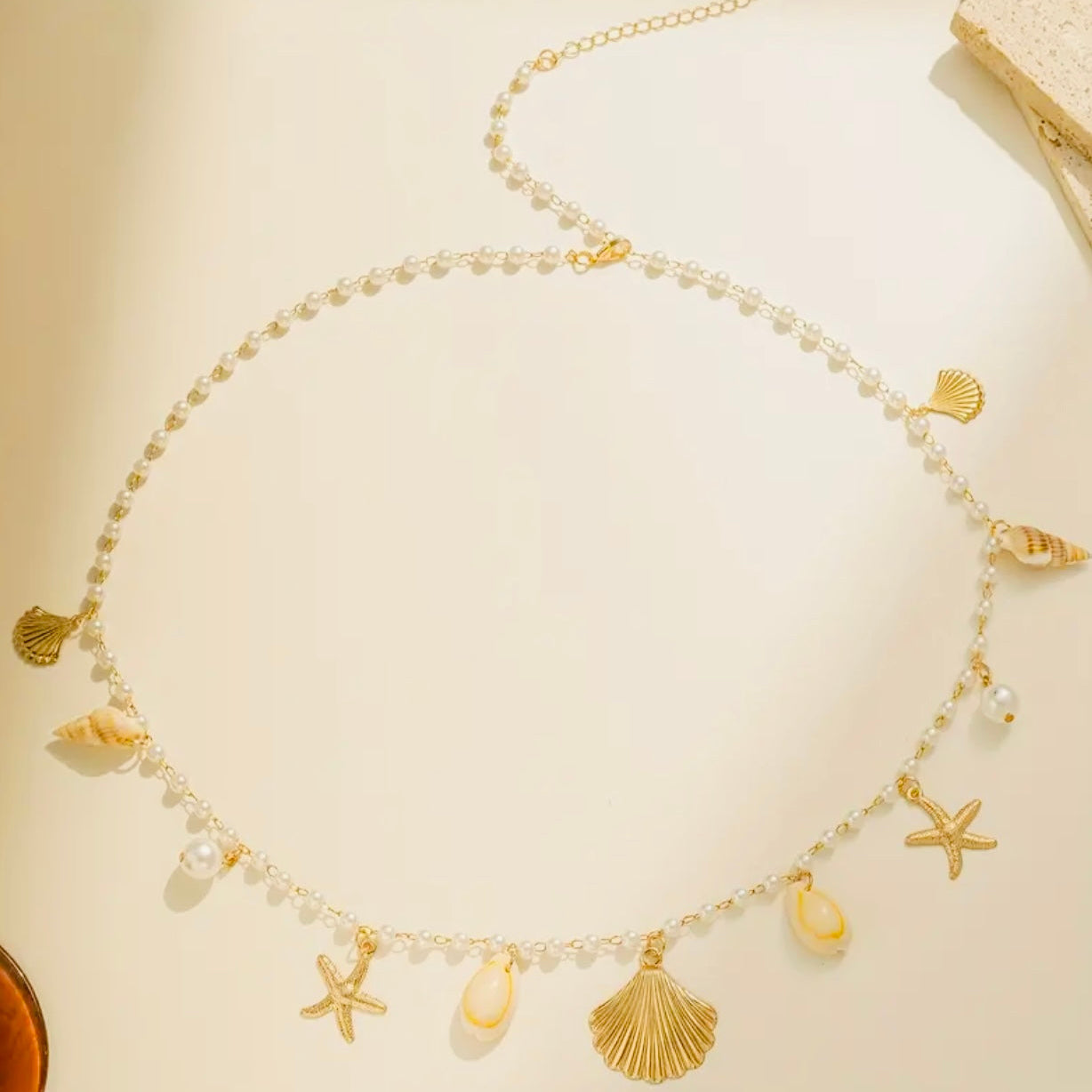 Chaine de ventre coquillage